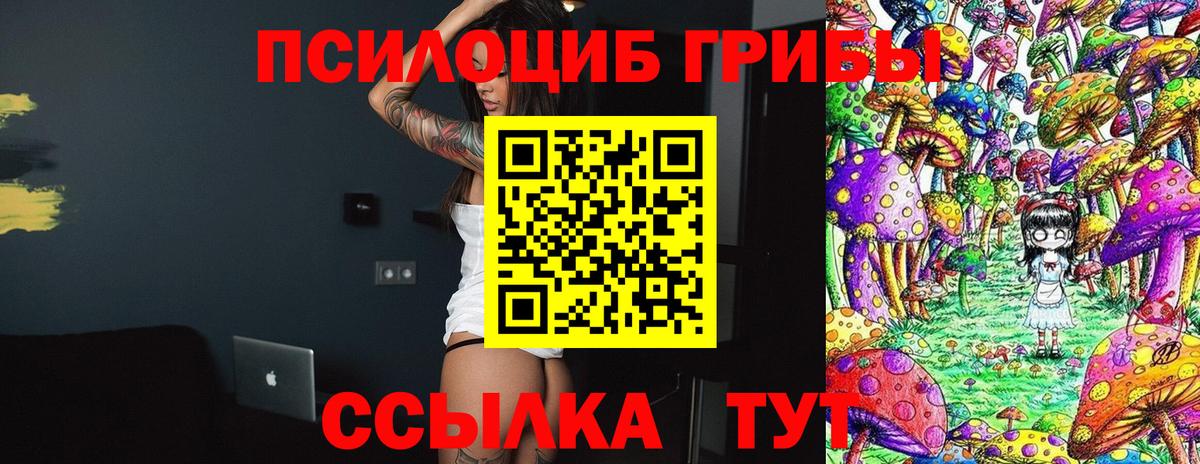 Псилоцибиновые грибы GOLDEN TEACHER  Галлюциногенные грибы Cubensis  Верхняя Пышма  где купить наркоту  Вход с VPN 